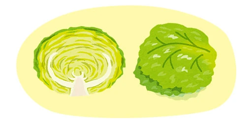レタス・キャベツ