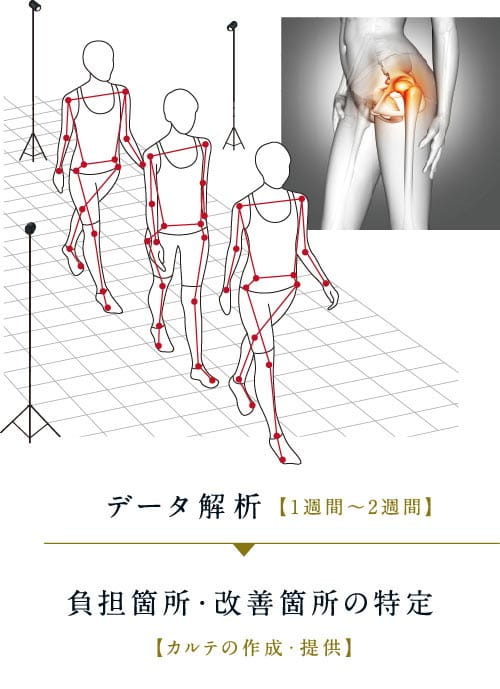 データ解析