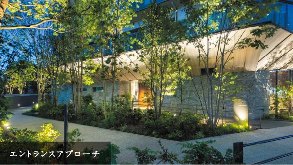 サービス付き高齢者向け住宅 （一般型特定施設入居者生活介護