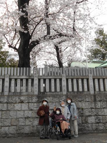 お花見 かがやきの季 中野南台 ツクイ世田谷明大前 サービス付き高齢者向け住宅 介護のことならツクイ お花見 かがやきの季 中野南台 ツクイ世田谷明大前 サービス付き高齢者向け住宅 介護のことならツクイ
