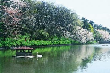 城山公園お堀