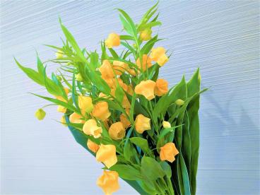 今週のお花 ツクイ サンシャイン足立 介護付有料老人ホーム 介護のことならツクイ 今週のお花 ツクイ サンシャイン足立 介護付有料老人ホーム 介護のことならツクイ