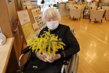 春を告げる花 ミモザ ツクイ サンシャイン富士 介護付有料老人ホーム 介護のことならツクイ 春を告げる花 ミモザ ツクイ サンシャイン富士 介護付有料老人ホーム 介護のことならツクイ