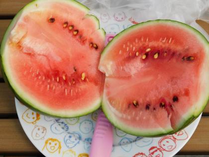 園芸 秋のお花 ツクイ サンシャイン杉並 介護付有料老人ホーム 介護のことならツクイ 園芸 秋のお花 ツクイ サンシャイン杉並 介護付有料老人ホーム 介護のことならツクイ